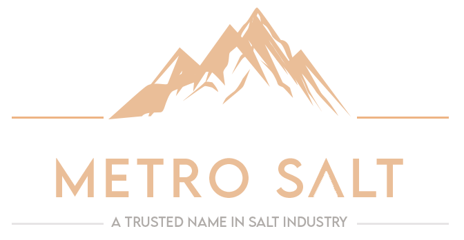 Metro-Salt-Logo 2